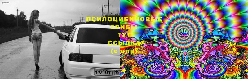 Псилоцибиновые грибы Magic Shrooms Тулун