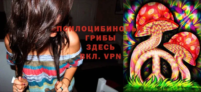 где продают наркотики  Тулун  Галлюциногенные грибы Magic Shrooms 